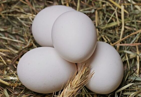 The egg diet involves eating chicken eggs daily. 