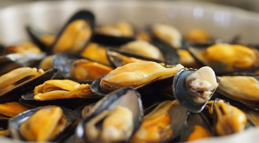 mussels with a protein diet